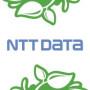 NTT DATA Services