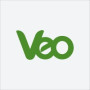 VEO Worldwide Services