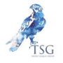 Talent Search Group TSG